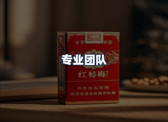 专业团队